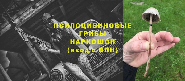 бошки Алзамай